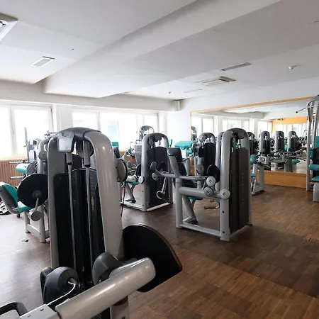 할리우드 4*
